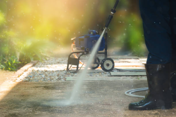Animal Enclosure Cleaning in Margate City, NJ